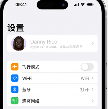 任城appleID维修服务iPhone设置中Apple ID显示为灰色无法使用