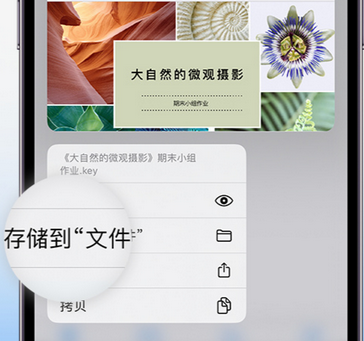 任城apple维修中心分享iPhone文件应用中存储和找到下载文件