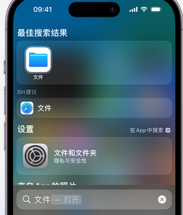 任城apple维修中心分享iPhone文件应用中存储和找到下载文件 