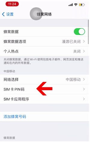 任城苹果14维修网分享如何给iPhone14的SIM卡设置密码 