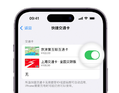 任城apple维修点分享iPhone上更换Apple Pay快捷交通卡手绘卡面 