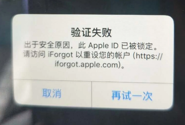 任城iPhone维修分享iPhone上正常登录或使用AppleID怎么办 