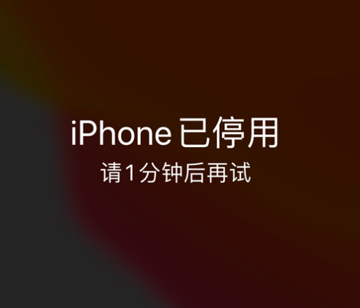 任城苹果手机维修分享:iPhone 显示“不可用”或“已停用”怎么办？还能保留数据吗？ 