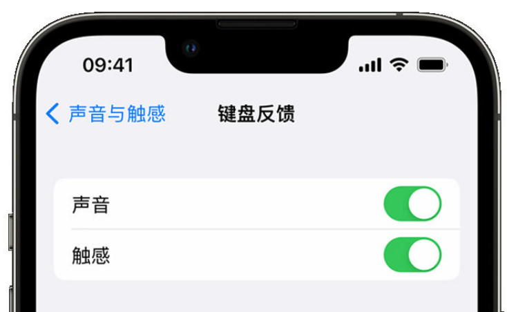 任城苹果手机维修分享iPhone 14触感键盘使用方法 