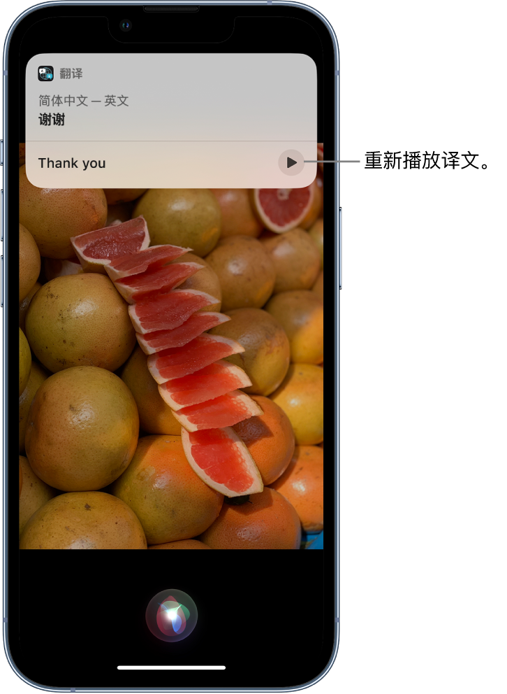 任城苹果14维修分享 iPhone 14 机型中使用 Siri：了解 Siri 能帮你做什么 