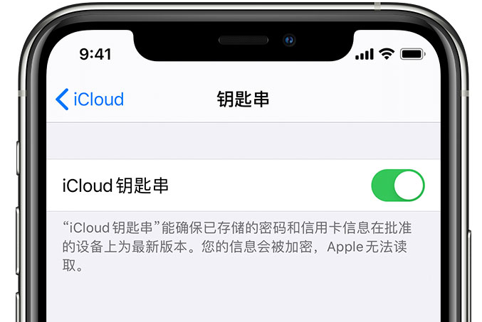 任城苹果手机维修分享在 iPhone 上开启 iCloud 钥匙串之后会储存哪些信息 