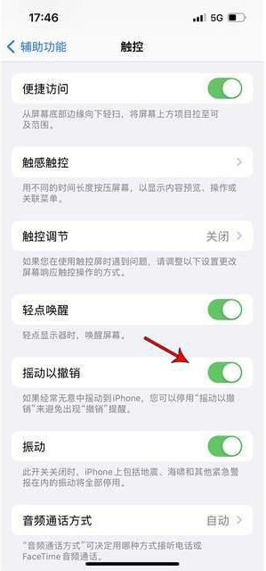 任城苹果手机维修分享iPhone手机如何设置摇一摇删除文字 